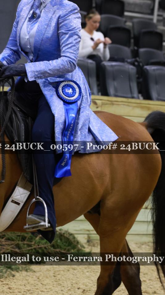 Proof 24BUCK_00597