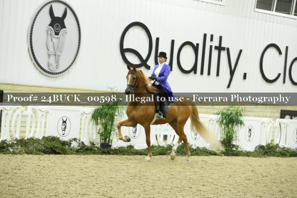 Proof 24BUCK_00598