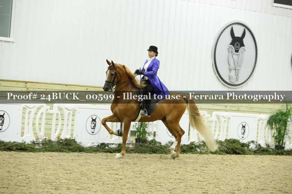 Proof 24BUCK_00599