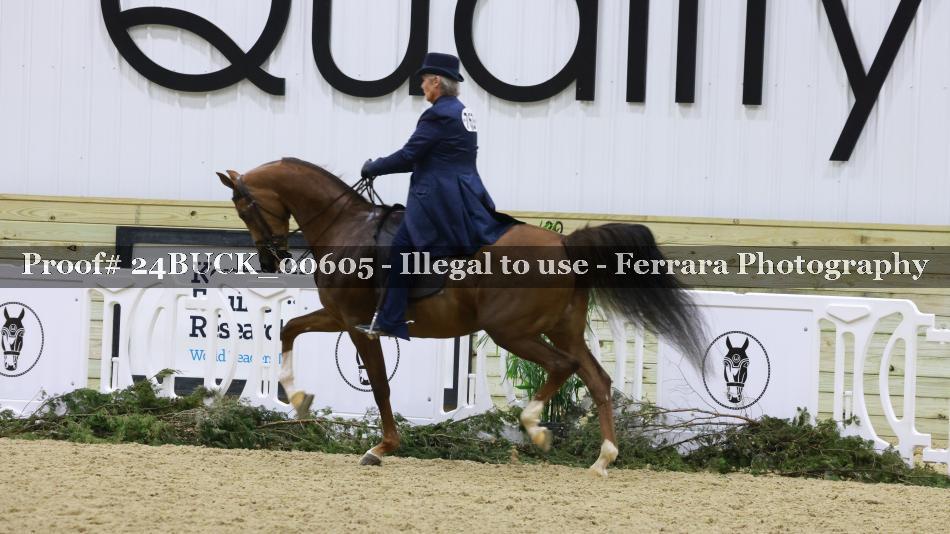 Proof 24BUCK_00605