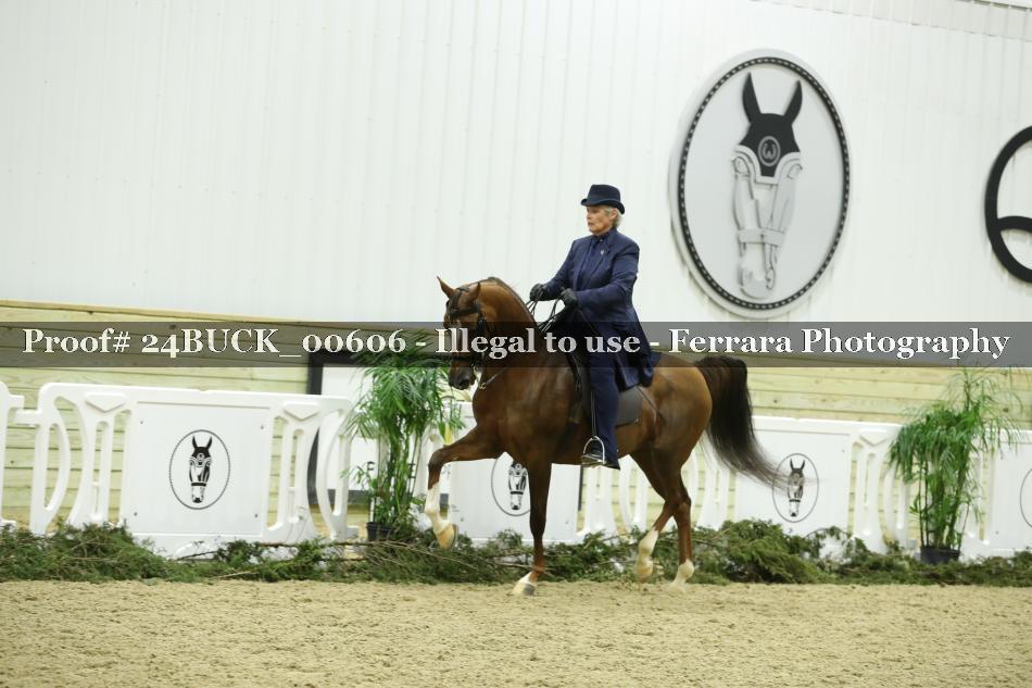 Proof 24BUCK_00606