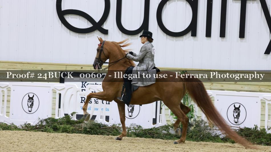Proof 24BUCK_00607