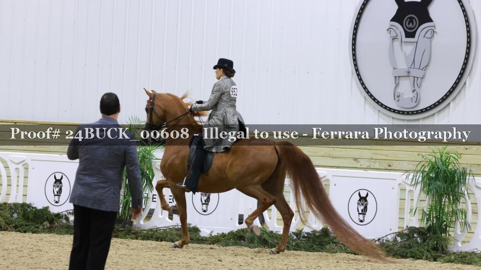 Proof 24BUCK_00608