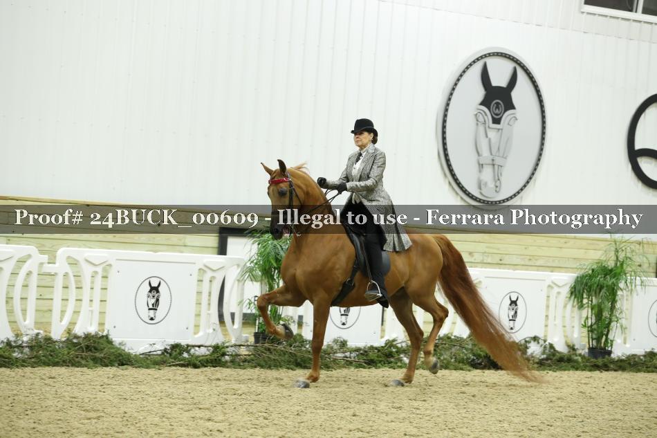 Proof 24BUCK_00609