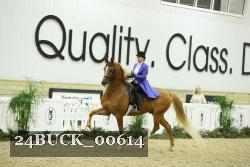 24BUCK_00614 proof