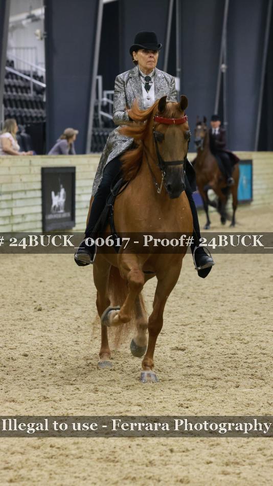 Proof 24BUCK_00617