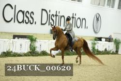 24BUCK_00620 proof