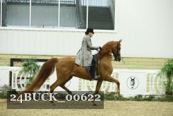 24BUCK_00622 proof