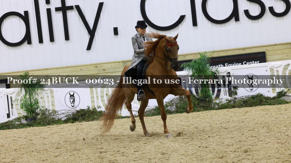 Proof 24BUCK_00623
