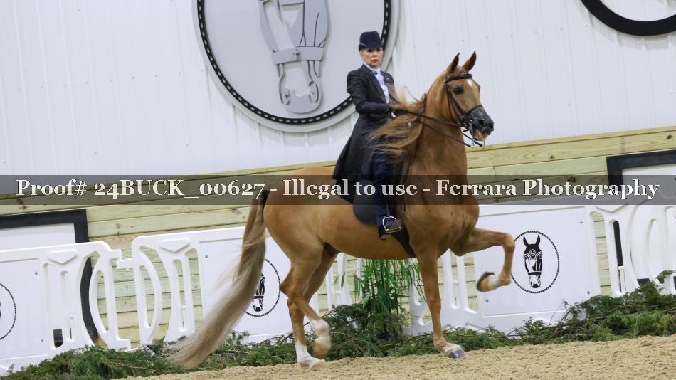 Proof 24BUCK_00627