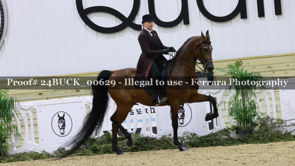 Proof 24BUCK_00629