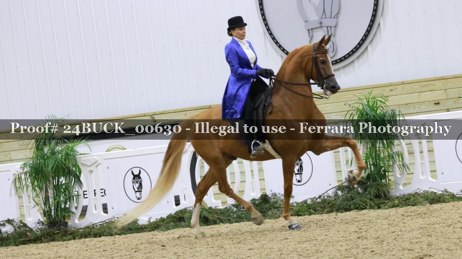 Proof 24BUCK_00630
