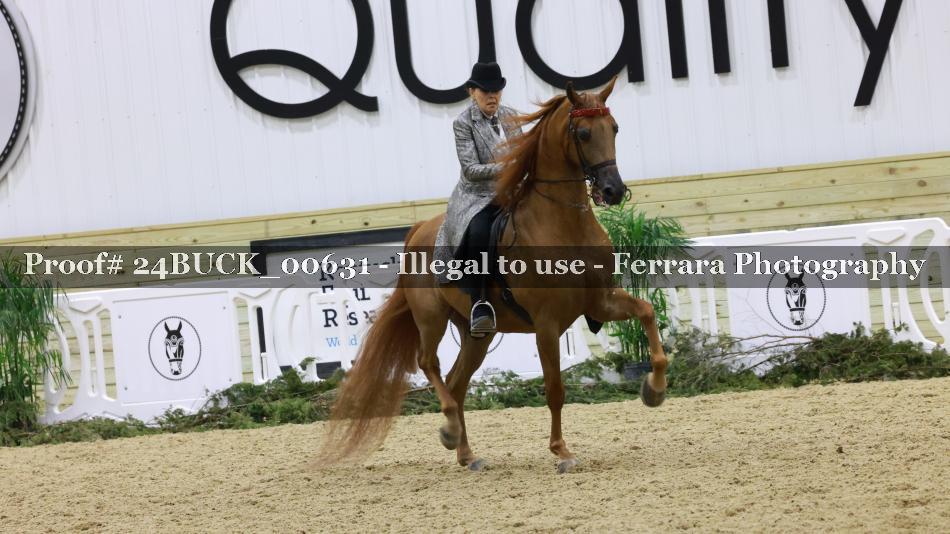 Proof 24BUCK_00631