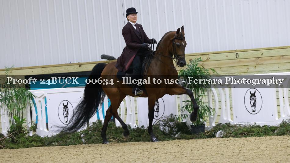 Proof 24BUCK_00634