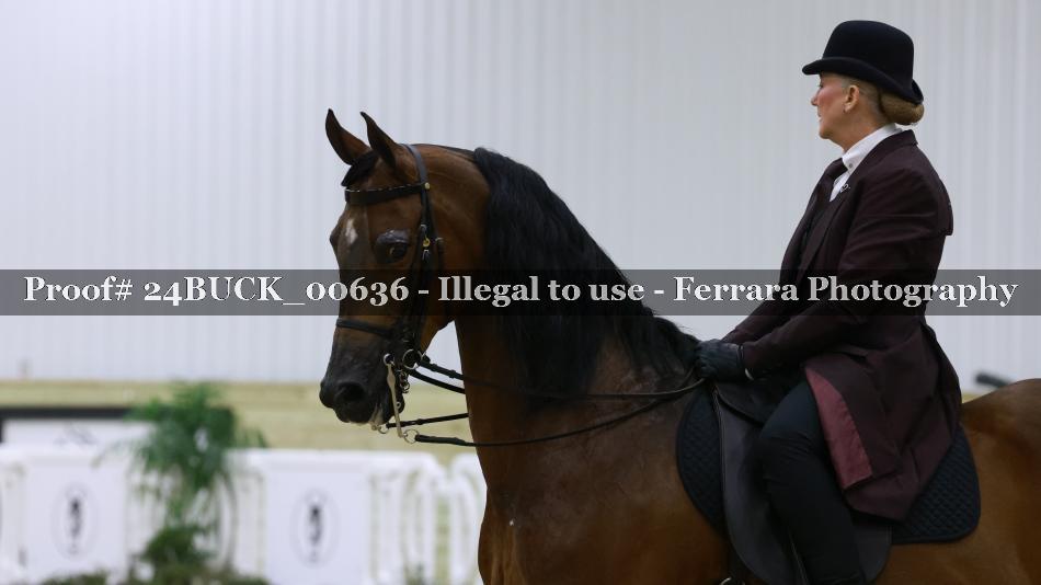 Proof 24BUCK_00636