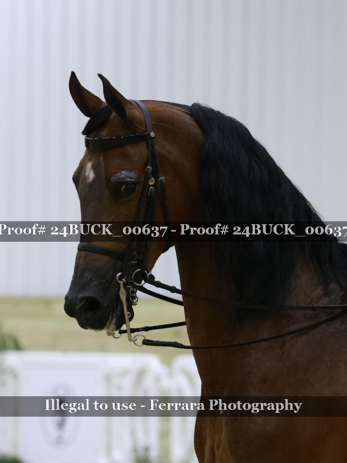 Proof 24BUCK_00637