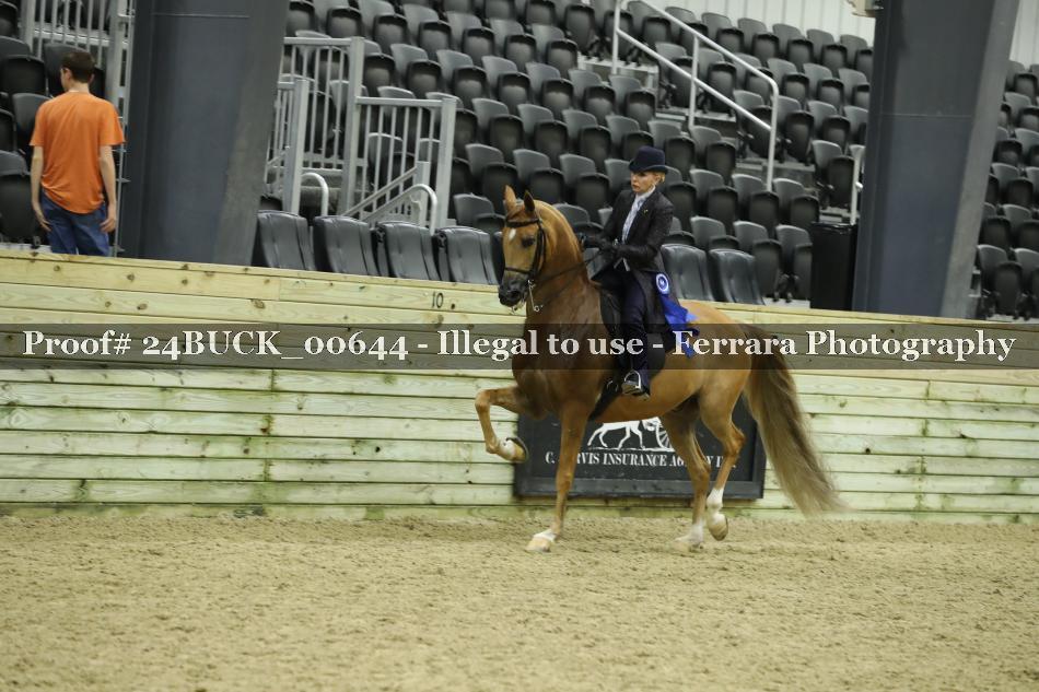 Proof 24BUCK_00644