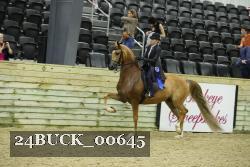 24BUCK_00645 proof
