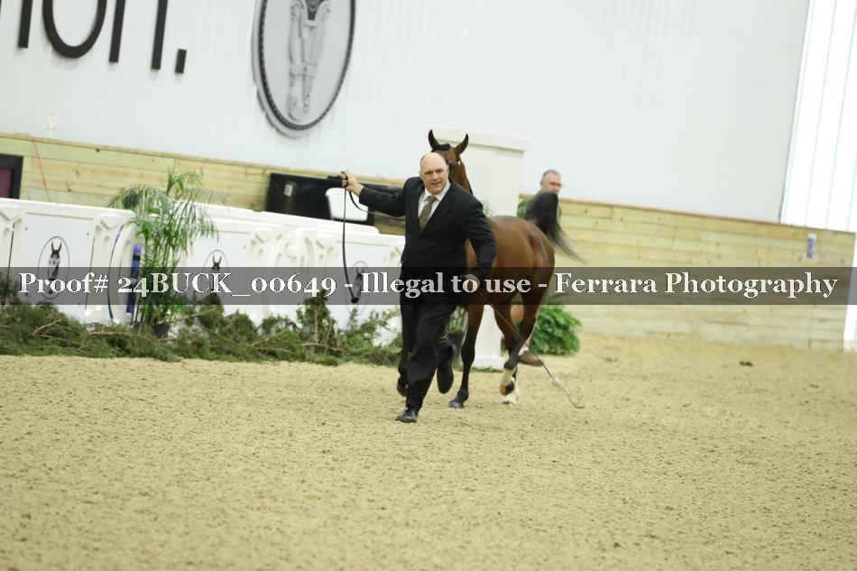 Proof 24BUCK_00649