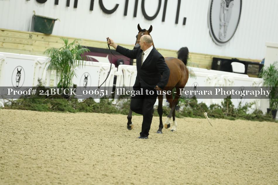 Proof 24BUCK_00651