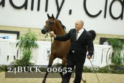 24BUCK_00652 proof