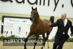 24BUCK_00653 proof