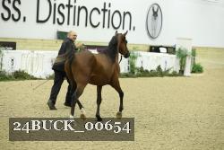 24BUCK_00654 proof