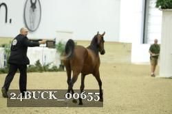 24BUCK_00655 proof