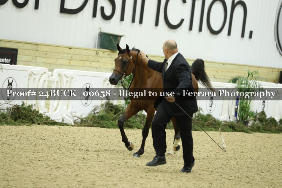 Proof 24BUCK_00658