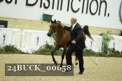 24BUCK_00658 proof