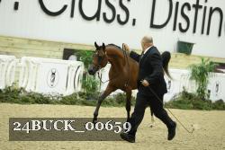 24BUCK_00659 proof