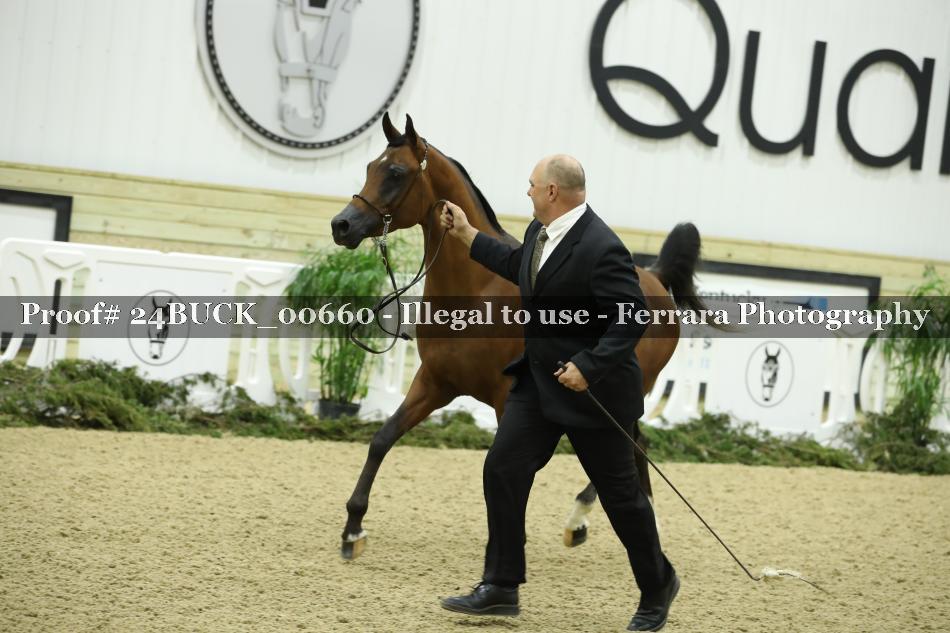 Proof 24BUCK_00660