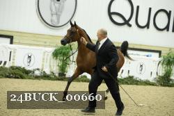 24BUCK_00660 proof