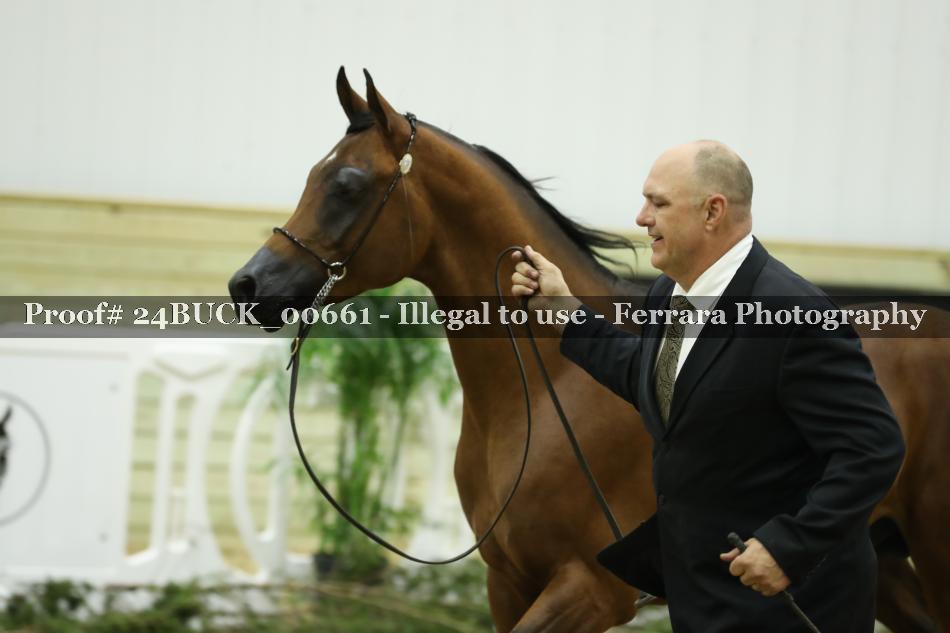 Proof 24BUCK_00661
