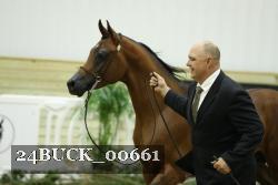 24BUCK_00661 proof