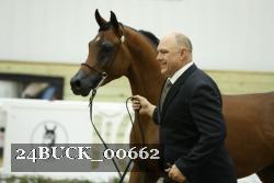24BUCK_00662 proof