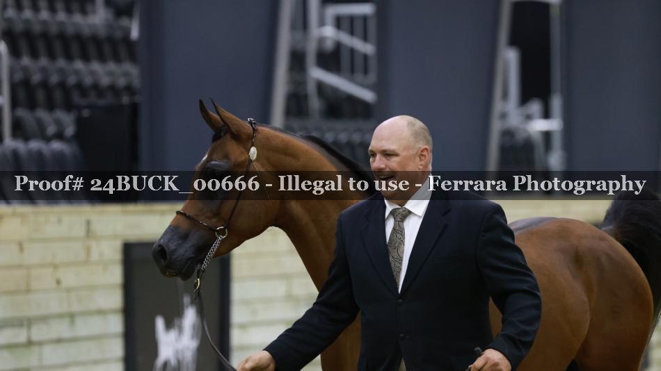 Proof 24BUCK_00666