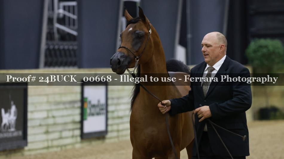 Proof 24BUCK_00668