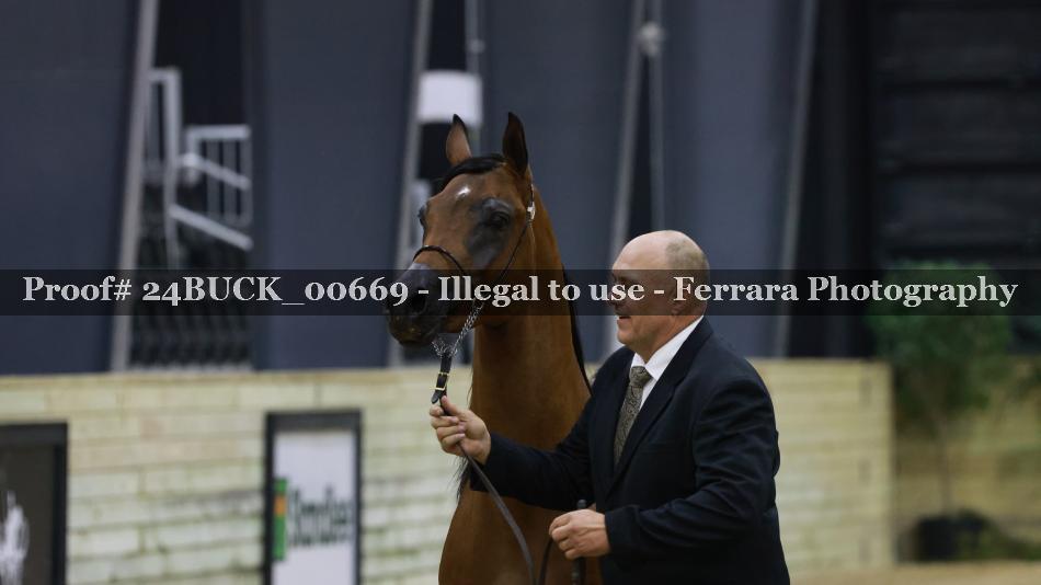 Proof 24BUCK_00669