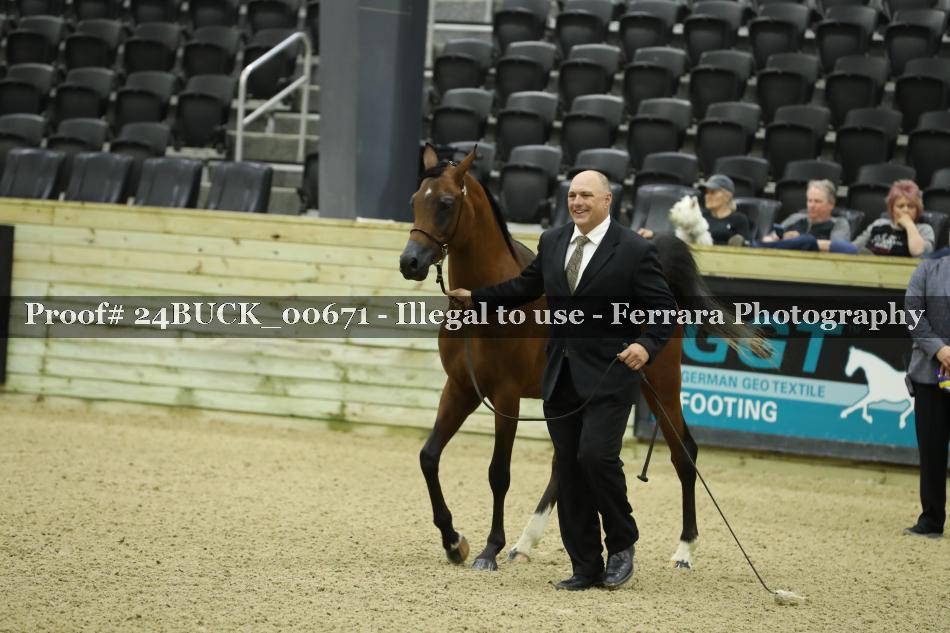 Proof 24BUCK_00671