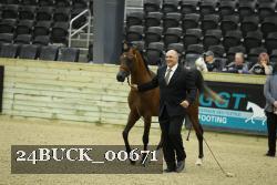 24BUCK_00671 proof