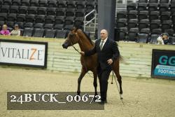 24BUCK_00672 proof