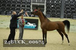24BUCK_00674 proof