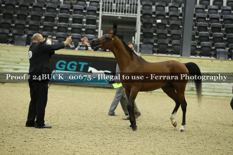 Proof 24BUCK_00675