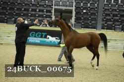 24BUCK_00675 proof