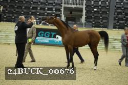 24BUCK_00676 proof