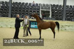 24BUCK_00677 proof
