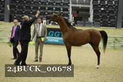 24BUCK_00678 proof
