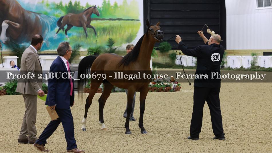Proof 24BUCK_00679