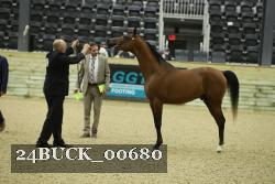 24BUCK_00680 proof
